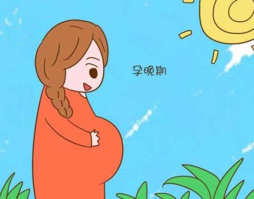 1561347785716853.jpg u=553094432,2917700689&fm=26&gp=0.jpg