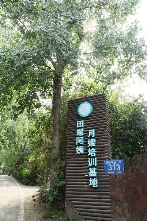 1561951868962963.jpg IMG_7821.JPG